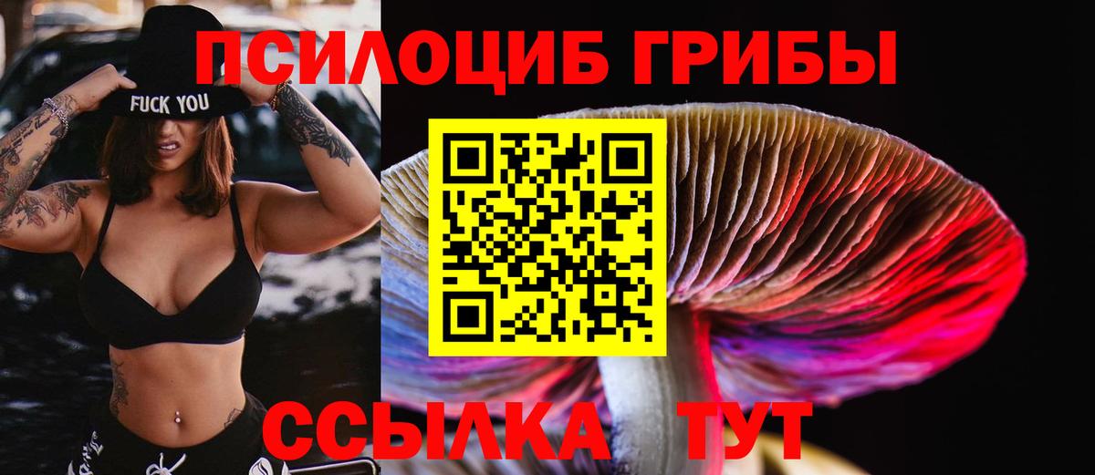 Аргун  Галлюциногенные грибы MAGIC MUSHROOMS  Вход с VPN 